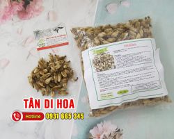Tân Di Hoa [ TÁC DỤNG, CÁCH LÀM ] MUA Ở ĐÂU NGUYÊN CHẤT GIÁ RẺ ?