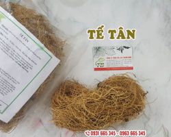 Công dụng của tế tân, cách sử dụng tế tân hiệu quả