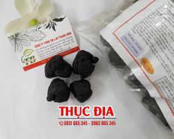 Công dụng của thục địa