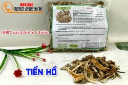 Công dụng của tiền hồ trong việc điều trị viêm khí quản vô cùng hiệu quả