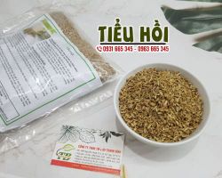 Công dụng của tiểu hồi, cách sử dụng tiểu hồi