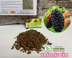 Công dụng của trái dâu tằm đối với sức khỏe tốt nhất