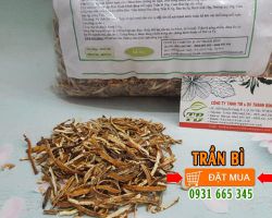 Công dụng của trần bì và một số bài thuốc quý sử dụng trần bì