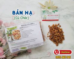 Công dụng và cách dùng bán hạ (củ chóc)