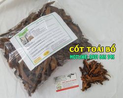 Cốt toái bổ chữa bệnh gì, tác dụng của cốt toái bổ