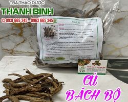 Củ Bách Bộ [ TÁC DỤNG, CÁCH LÀM ] MUA Ở ĐÂU NGUYÊN CHẤT GIÁ RẺ ?