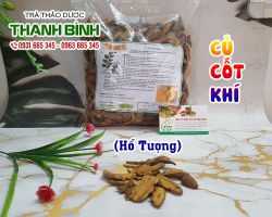 Củ cốt khí [công dụng, cách dùng] mua ở đâu nguyên chất?