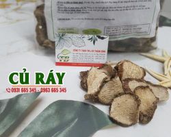 Củ ráy có tác dụng gì ???