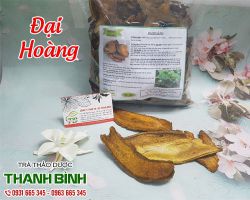 Đại hoàng, công dụng của đại hoàng tốt cho hệ tiêu hóa