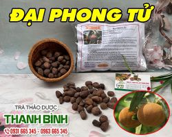 Đại Phong Tử [ TÁC DỤNG, CÁCH LÀM ] MUA Ở ĐÂU NGUYÊN CHẤT GIÁ RẺ ?