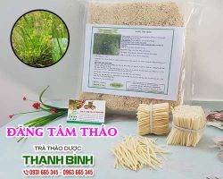Đăng tâm thảo [hình ảnh, công dụng] mua ở đâu uy tín chất lượng nhất ?