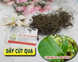 Dây cứt quạ trị bệnh gì hiệu quả ?