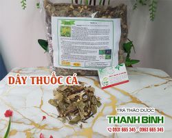 Dây thuốc cá [công dụng, cách dùng] mua ở đâu nguyên chất?