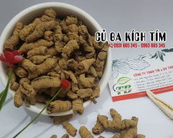 Địa chỉ bán củ ba kích tím giá tốt nhất