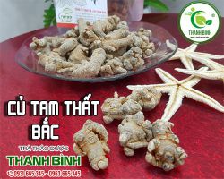 Địa chỉ bán củ tam thất bắc tại TPHCM giá tốt nhất
