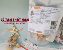 Địa chỉ bán củ tam thất nam uy tín