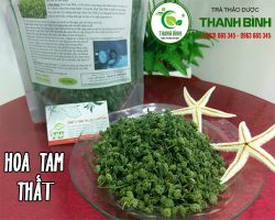 Địa chỉ bán hoa tam thất ở đâu ???