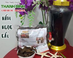 Địa chỉ bán nấm ngọc cẩu giá tốt nhất