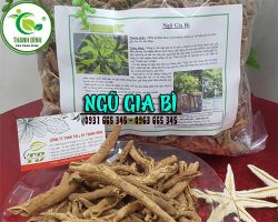 Địa chỉ bán ngũ gia bì tại TPHCM uy tín chất lượng