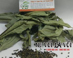 Địa chỉ bán nụ vối khô tại TPHCM uy tín nhất