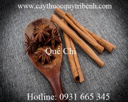 Địa chỉ bán quế chi điều trị đau bụng, bế kinh uy tín chất lượng nhất