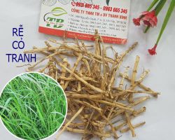 Địa chỉ bán rễ cỏ tranh uy tín tại tphcm