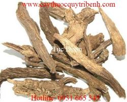 Địa chỉ bán tục đoạn uy tín chất lượng nhất giúp điều trị đau nhức xương khớp