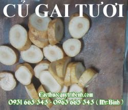 Địa chỉ mua bán củ gai an thai chất lượng nhất tại tp hcm