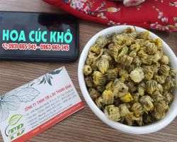 Địa chỉ mua hoa cúc khô tại TPHCM giá tốt nhất