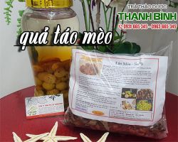 Địa chỉ mua quả táo mèo ở TPHCM giá tốt nhất