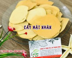 Địa điểm bán cây mật nhân tại tphcm uy tín chất lượng