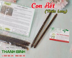 Địa điểm bán con rết tại Hà Nội giúp điều trị sốt cao kèm co giật tốt nhất