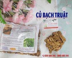 Địa điểm bán củ bạch truật uy tín chất lượng