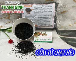 Địa điểm bán cửu tử bổ thận tráng dương uy tín chất lượng nhất