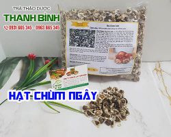 Địa điểm bán hạt chùm ngây tăng cường sức khỏe và sinh lý hiệu quả nhất