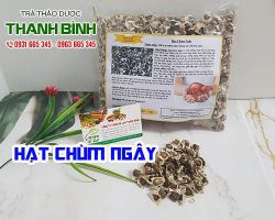 Địa điểm bán hạt chùm ngây tăng cường sức khỏe và sinh lý hiệu quả nhất