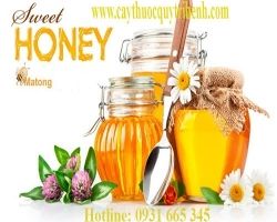 Địa điểm bán mật ong rừng nguyên chất uy tín chất lượng nhất giúp làm đẹp