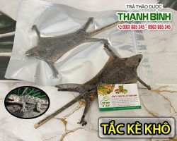 Địa điểm bán tắc kè khô giúp bổ phế uy tín chất lượng nhất