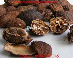 Địa điểm bán thảo quả giúp làm hạ huyết áp uy tín chất lượng nhất