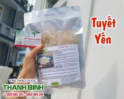 Địa điểm bán tuyết yến giúp giảm căng thẳng mệt mỏi uy tín chất lượng nhất