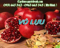 Địa điểm bán vỏ lựu điều trị đau bụng do giun sán uy tín chất lượng nhất