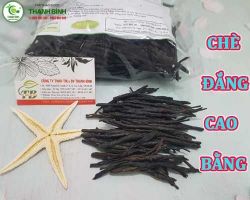 Địa điểm chè đắng cao bằng tại quận 2 có công dụng giúp điều hòa huyết áp