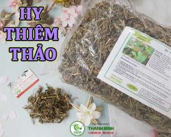 Địa điểm hy thiêm thảo tại quận 11 có công dụng giúp giảm đau nhức xương khớp