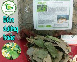 Địa điểm mua bán dâm dương hoắc chất lượng nhất