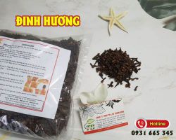 Đinh hương - Dược liệu quý với những công dụng bất ngờ