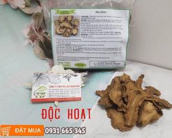 Độc hoạt là gì, độc hoạt chữa bệnh gì