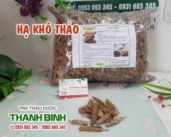 Hạ khô thảo [công dụng, cách dùng] mua ở đâu nguyên chất