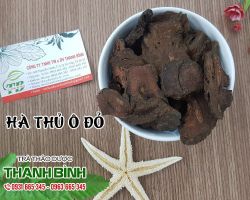 Hà thủ ô đỏ bán ở đâu tại TPHCM