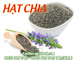 Hạt chia
