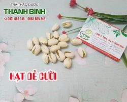 Hạt dẻ cười chữa bệnh được không ???